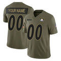 CAdoa Custom P.Steelers Olive 2025 Salute To Service Limited Home Game Any Name & Numbers Stitched Jerseys
