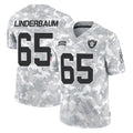CAdoa LV.Raiders #65 Tyler Linderbaum Player Arctic Camo Salute To Service Limited Game Stitched Jerseys
