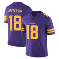 CAdoa MN.Vikings #18 Justin Jefferson Player Purple Limited Color Rush Home Game Stitched Jerseys